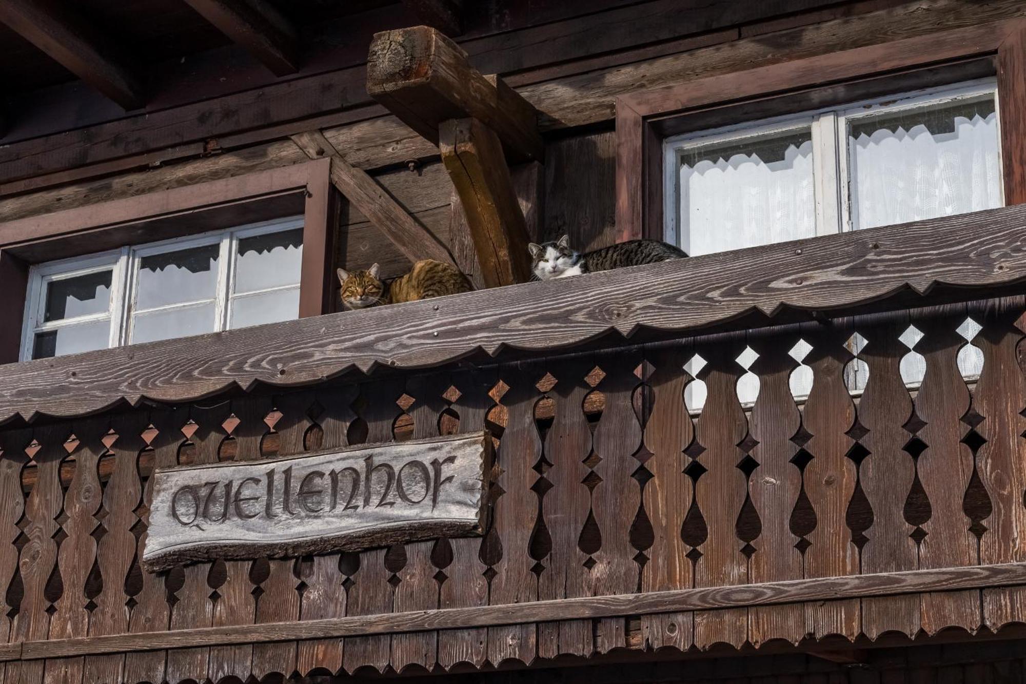 Apartamento Schwarzwaldliebe Frohnd Exterior foto
