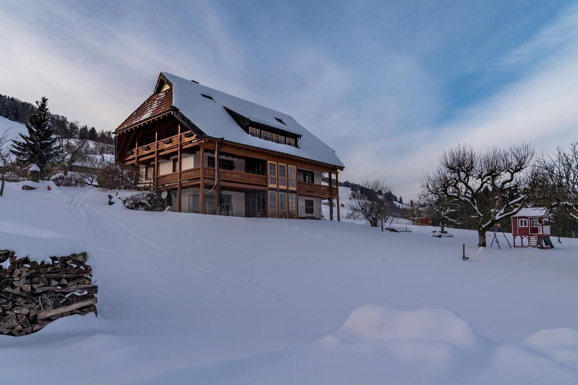 Apartamento Schwarzwaldliebe Frohnd Exterior foto