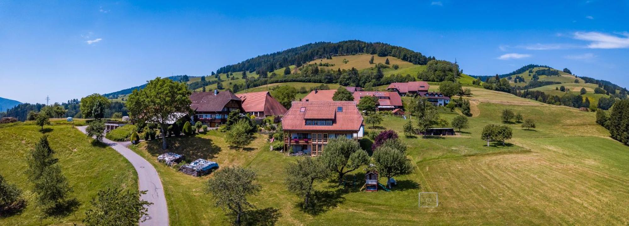 Apartamento Schwarzwaldliebe Frohnd Exterior foto